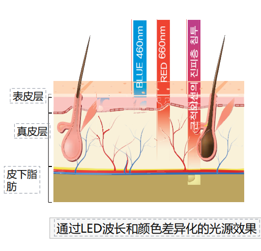 配料系统多少钱_配料系统图_配料系统操作规程